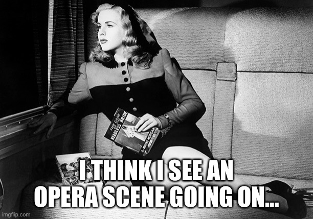 Lady on a Train | I THINK I SEE AN OPERA SCENE GOING ON… | image tagged in opera,deanna durbin | made w/ Imgflip meme maker