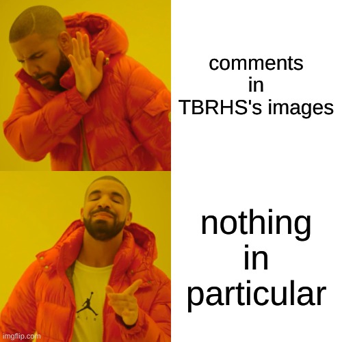 Drake Hotline Bling Meme | comments in TBRHS's images nothing in particular | image tagged in memes,drake hotline bling | made w/ Imgflip meme maker