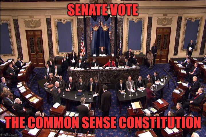 Let’s get to work now, so the new Congress can get to work right away. | SENATE VOTE; THE COMMON SENSE CONSTITUTION | image tagged in senate floor | made w/ Imgflip meme maker