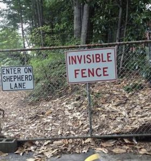 High Quality Visible Fence Blank Meme Template