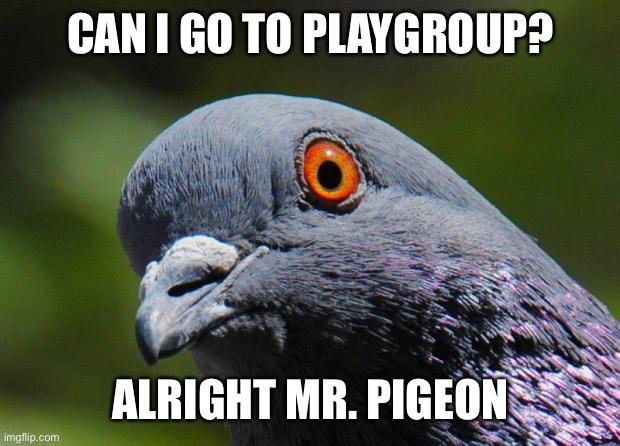 Pigeon | CAN I GO TO PLAYGROUP? ALRIGHT MR. PIGEON | image tagged in pigeon | made w/ Imgflip meme maker