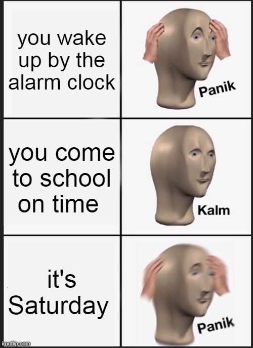 pwokgy | you wake up by the alarm clock; you come to school on time; it's Saturday | image tagged in memes,panik kalm panik,cats,funny,all lives matter | made w/ Imgflip meme maker