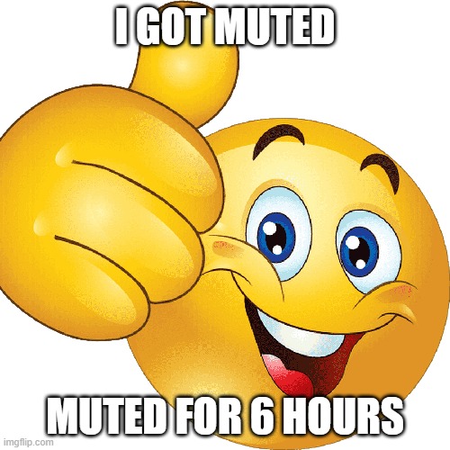 When Muted | I GOT MUTED; MUTED FOR 6 HOURS | image tagged in discord | made w/ Imgflip meme maker