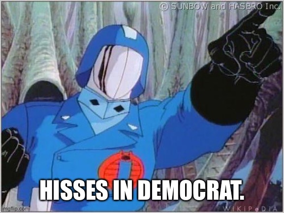 Cobra Commander | HISSES IN DEMOCRAT. | image tagged in cobra commander | made w/ Imgflip meme maker