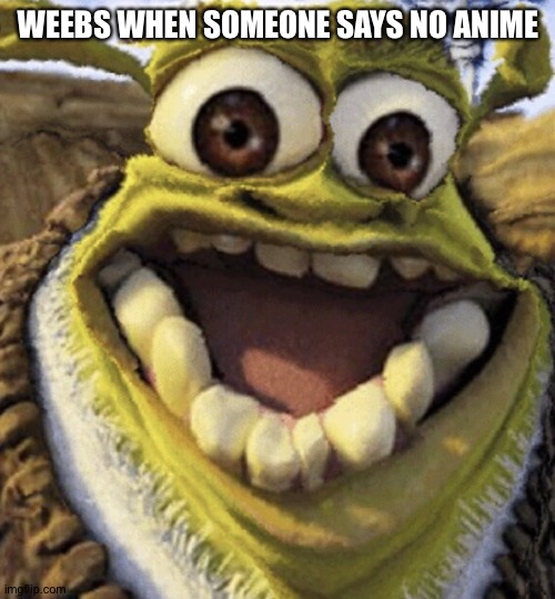 Shrek | WEEBS WHEN SOMEONE SAYS NO ANIME | image tagged in shrek | made w/ Imgflip meme maker