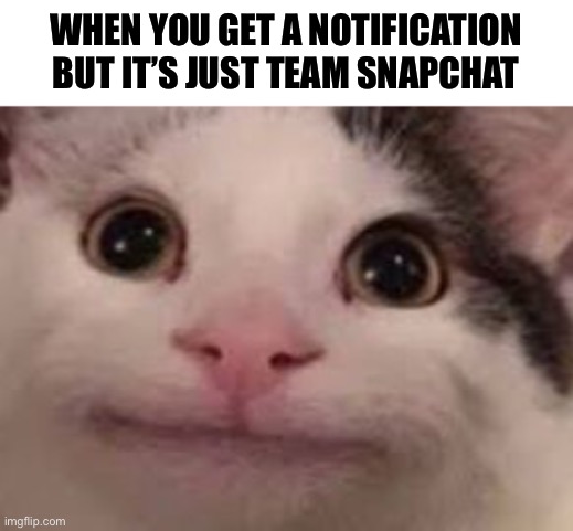 Come on this happens at least once right? | WHEN YOU GET A NOTIFICATION BUT IT’S JUST TEAM SNAPCHAT | image tagged in funny cat memes | made w/ Imgflip meme maker