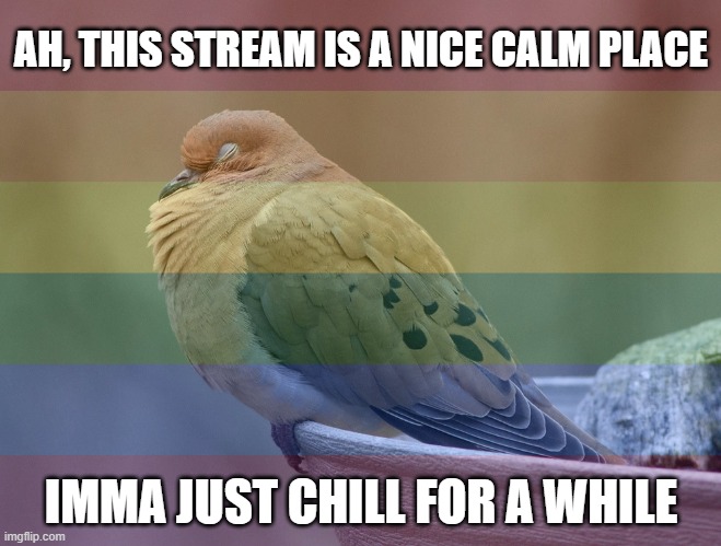 AH, THIS STREAM IS A NICE CALM PLACE; IMMA JUST CHILL FOR A WHILE | image tagged in lgbtq,dove,just chillin' | made w/ Imgflip meme maker