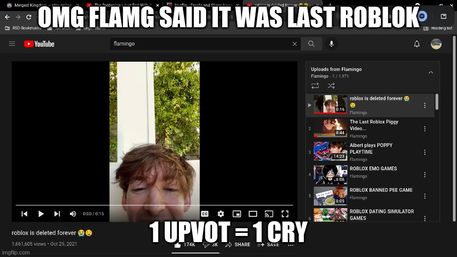 omg | OMG FLAMG SAID IT WAS LAST ROBLOK; 1 UPVOT = 1 CRY | image tagged in roblox,flamingo | made w/ Imgflip meme maker