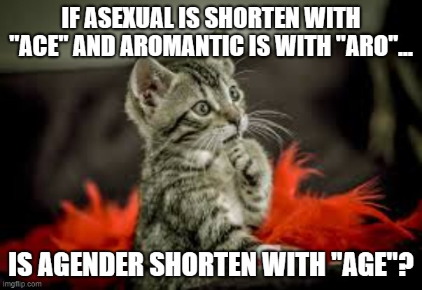 Thinking cat | IF ASEXUAL IS SHORTEN WITH "ACE" AND AROMANTIC IS WITH "ARO"... IS AGENDER SHORTEN WITH "AGE"? | image tagged in thinking cat | made w/ Imgflip meme maker