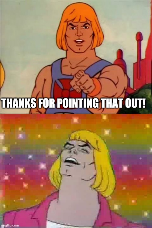 THANKS FOR POINTING THAT OUT! | image tagged in he-man advice,he man | made w/ Imgflip meme maker