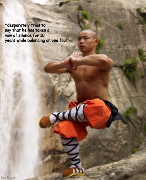 Shaolin Meditation | *desperately tries to say that he has taken a vow of silence for 10 years while balancing on one foot | image tagged in shaolin meditation | made w/ Imgflip meme maker