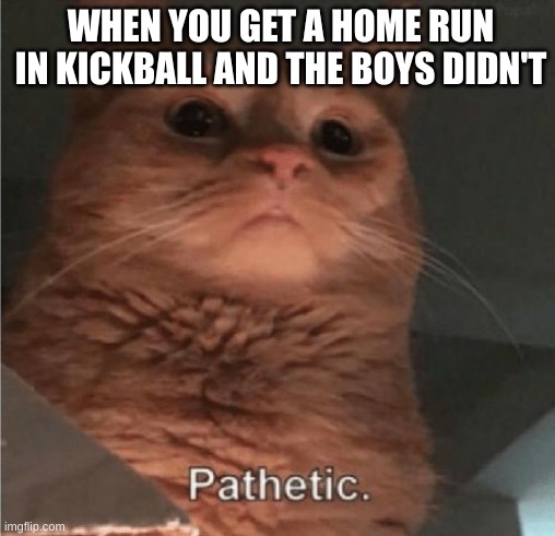 I can only hope this happens to me one day | WHEN YOU GET A HOME RUN IN KICKBALL AND THE BOYS DIDN'T | image tagged in pathetic cat | made w/ Imgflip meme maker