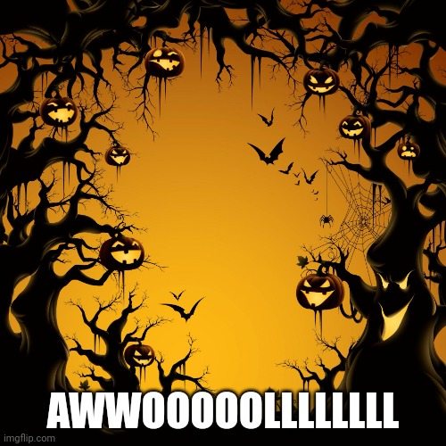 Halloween  | AWWOOOOOLLLLLLLL | image tagged in halloween | made w/ Imgflip meme maker