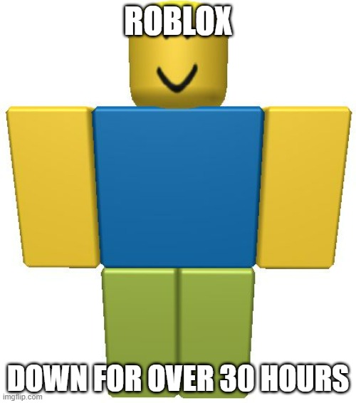 They are acting like real noobs to this | ROBLOX; DOWN FOR OVER 30 HOURS | image tagged in roblox noob | made w/ Imgflip meme maker