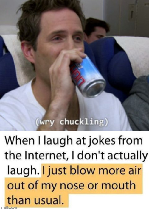 Who really laughs out loud? | image tagged in wry chuckling | made w/ Imgflip meme maker