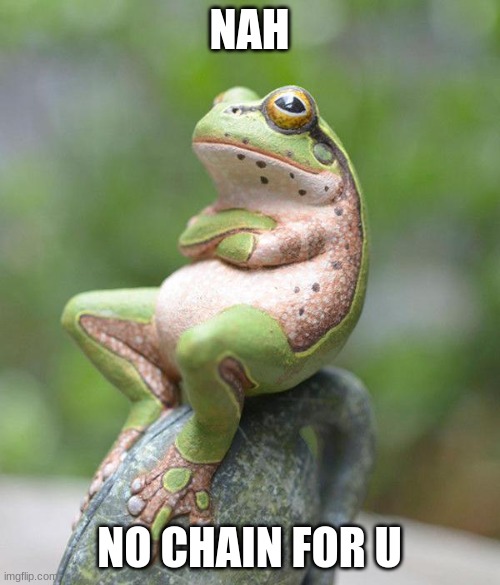 NAH NO CHAIN FOR U | image tagged in nah frog | made w/ Imgflip meme maker