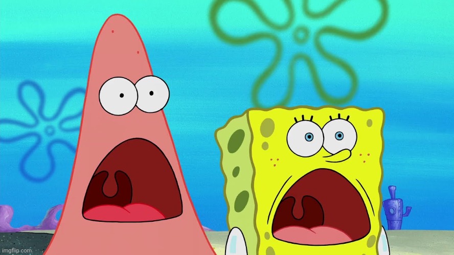 Shocked SpongeBob and Patrick | image tagged in shocked spongebob and patrick | made w/ Imgflip meme maker