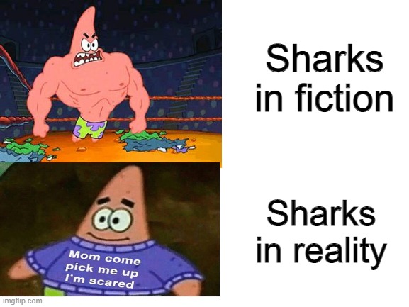 A bigger boat is required |  Sharks in fiction; Sharks in reality | image tagged in spongebob,patrick,sharks,real life,reality,strong | made w/ Imgflip meme maker