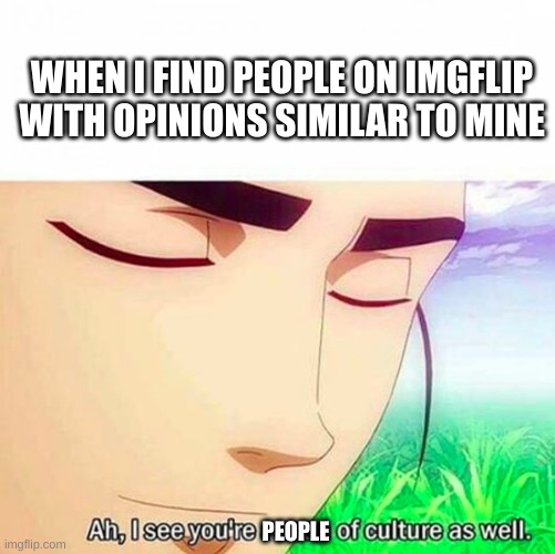 FACT: Having people who agree with you makes you feel better |  WHEN I FIND PEOPLE ON IMGFLIP WITH OPINIONS SIMILAR TO MINE; PEOPLE | image tagged in ah i see you are a man of culture as well,memes,so true | made w/ Imgflip meme maker