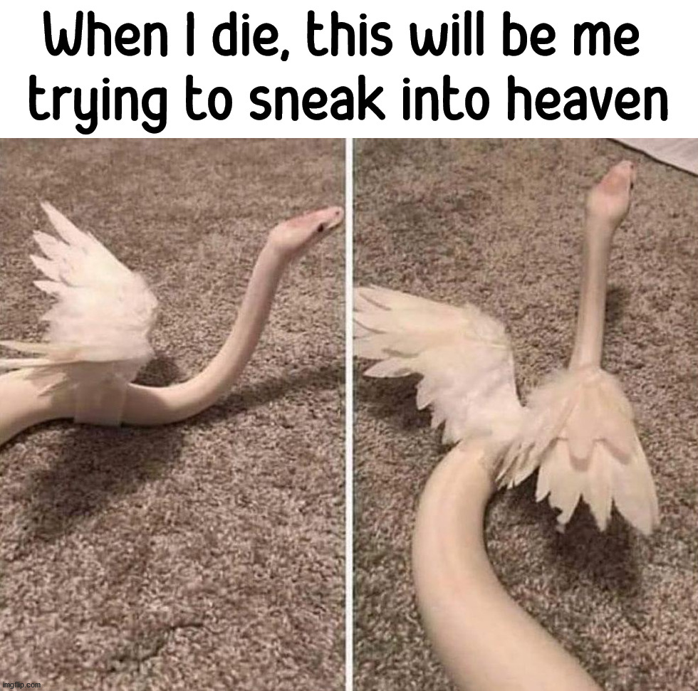 Happy Halloween everyone | When I die, this will be me 
trying to sneak into heaven | image tagged in welcome to heaven,wings,snake,sneaky | made w/ Imgflip meme maker