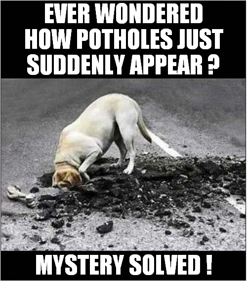 The State Of The Roads Explained | EVER WONDERED HOW POTHOLES JUST SUDDENLY APPEAR ? MYSTERY SOLVED ! | image tagged in dogs,potholes,roads | made w/ Imgflip meme maker