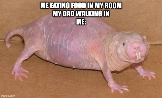 Naked mole rat | ME EATING FOOD IN MY ROOM

MY DAD WALKING IN
ME: | image tagged in naked mole rat | made w/ Imgflip meme maker