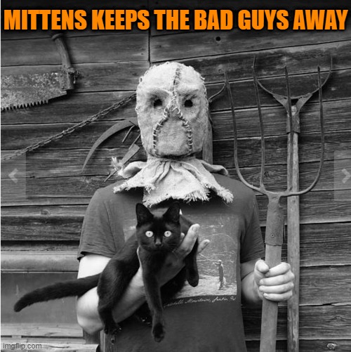 GOOD KITTY | MITTENS KEEPS THE BAD GUYS AWAY | image tagged in cats,funny cats,spooktober,halloween | made w/ Imgflip meme maker