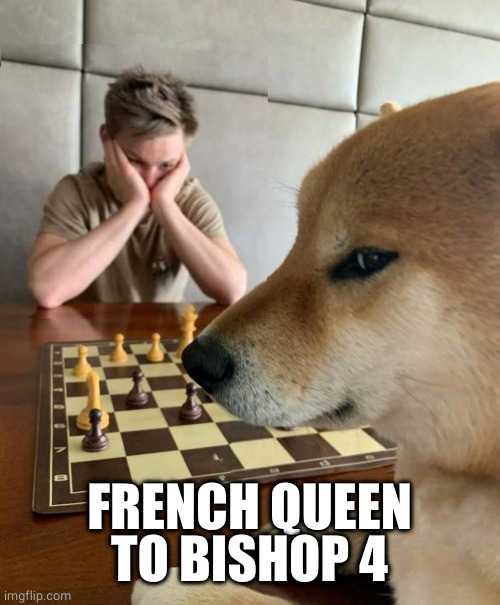 Chess doge | FRENCH QUEEN TO BISHOP 4 | image tagged in chess doge | made w/ Imgflip meme maker