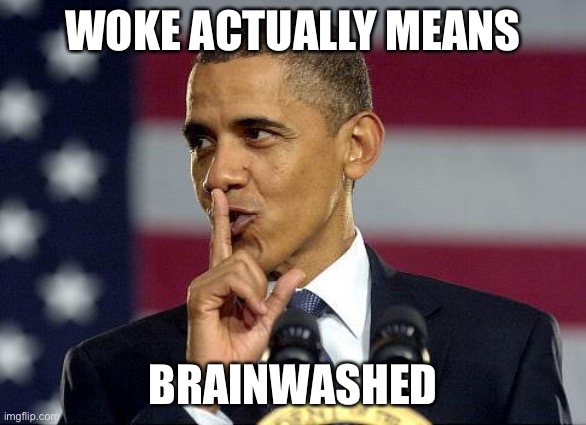 Obama Shhhhh | WOKE ACTUALLY MEANS BRAINWASHED | image tagged in obama shhhhh | made w/ Imgflip meme maker