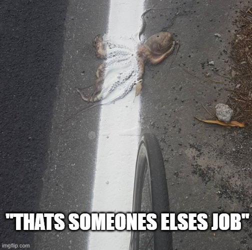 YOU COULDNT HAVE JUST MOVED IT TO THE SIDE? | "THATS SOMEONES ELSES JOB" | image tagged in you had one job,fail,stupid people | made w/ Imgflip meme maker