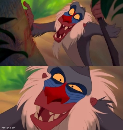 Rafiki discovers | image tagged in rafiki | made w/ Imgflip meme maker