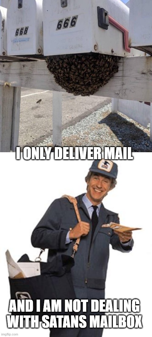 NOPE. NOT MY PROBLEM | I ONLY DELIVER MAIL; AND I AM NOT DEALING WITH SATANS MAILBOX | image tagged in mailman,you had one job,wtf,bees | made w/ Imgflip meme maker