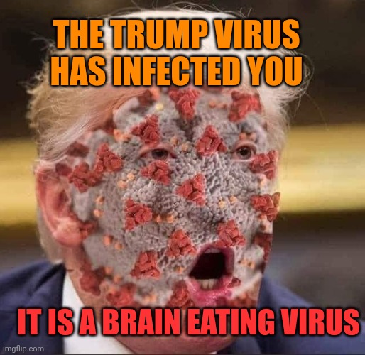 Trump's virus | IT IS A BRAIN EATING VIRUS THE TRUMP VIRUS HAS INFECTED YOU | image tagged in trump's virus | made w/ Imgflip meme maker