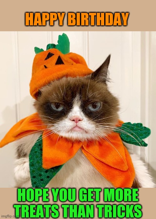 Grumpy Cat Halloween | HAPPY BIRTHDAY HOPE YOU GET MORE TREATS THAN TRICKS | image tagged in grumpy cat halloween | made w/ Imgflip meme maker