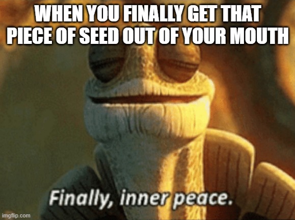 i still cant get it out | WHEN YOU FINALLY GET THAT PIECE OF SEED OUT OF YOUR MOUTH | image tagged in finally inner peace | made w/ Imgflip meme maker