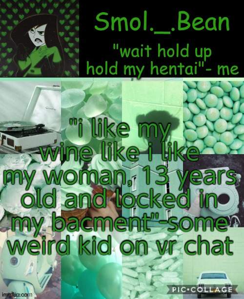 Hold my hentai | ''i like my wine like i like my woman, 13 years old and locked in my bacment''-some weird kid on vr chat | image tagged in hold my hentai | made w/ Imgflip meme maker