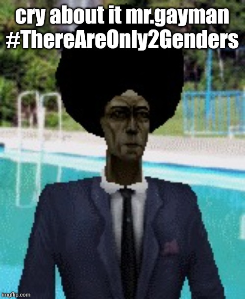 afro gman | cry about it mr.gayman
#ThereAreOnly2Genders | image tagged in afro gman | made w/ Imgflip meme maker