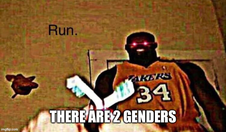 Run | THERE ARE 2 GENDERS | image tagged in run | made w/ Imgflip meme maker