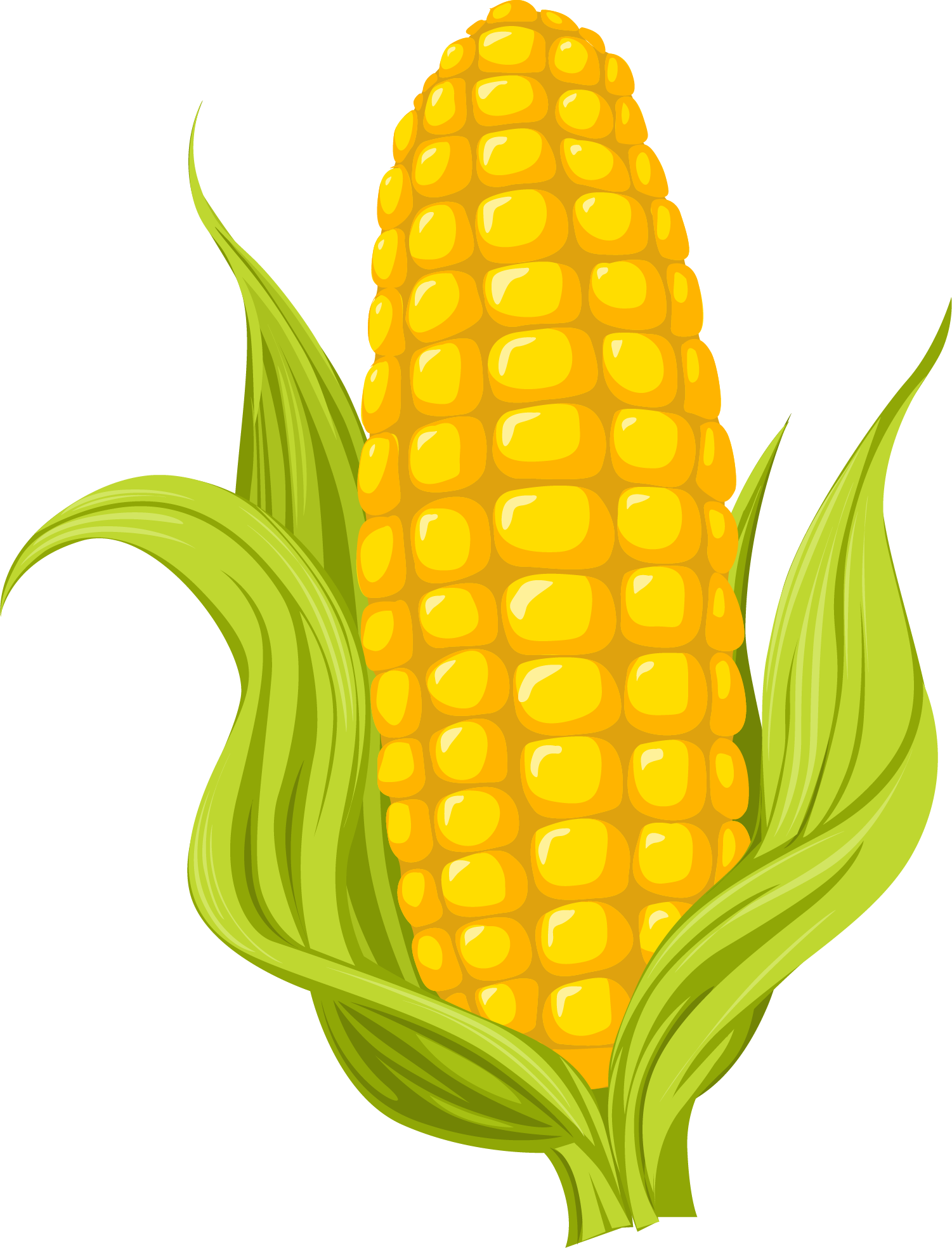 Cartoon Corn. 
