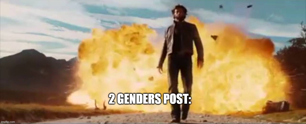 Man in front of explosion | 2 GENDERS POST: | image tagged in man in front of explosion | made w/ Imgflip meme maker