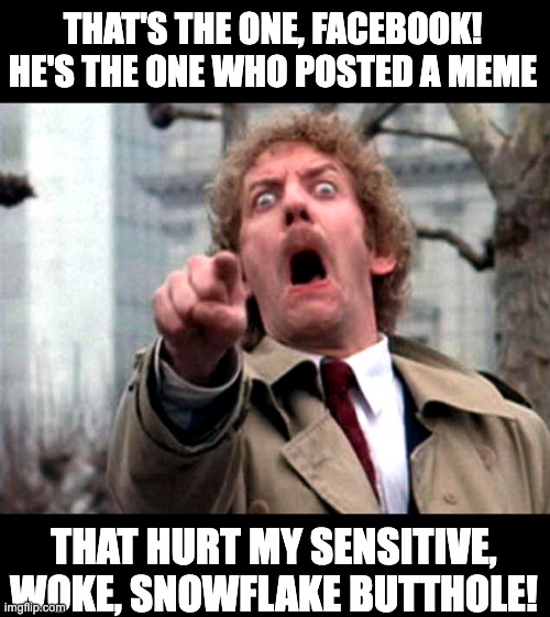 Woke | THAT'S THE ONE, FACEBOOK!
HE'S THE ONE WHO POSTED A MEME; THAT HURT MY SENSITIVE, WOKE, SNOWFLAKE BUTTHOLE! | image tagged in donald sutherland invasion of the body snatchers | made w/ Imgflip meme maker