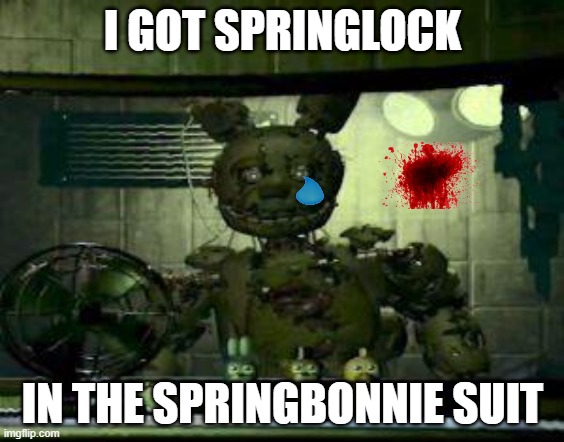 springlock | I GOT SPRINGLOCK; IN THE SPRINGBONNIE SUIT | image tagged in fnaf springtrap in window | made w/ Imgflip meme maker