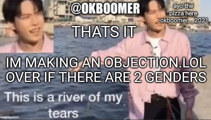 gender | THATS IT; IM MAKING AN OBJECTION.LOL OVER IF THERE ARE 2 GENDERS | image tagged in e | made w/ Imgflip meme maker