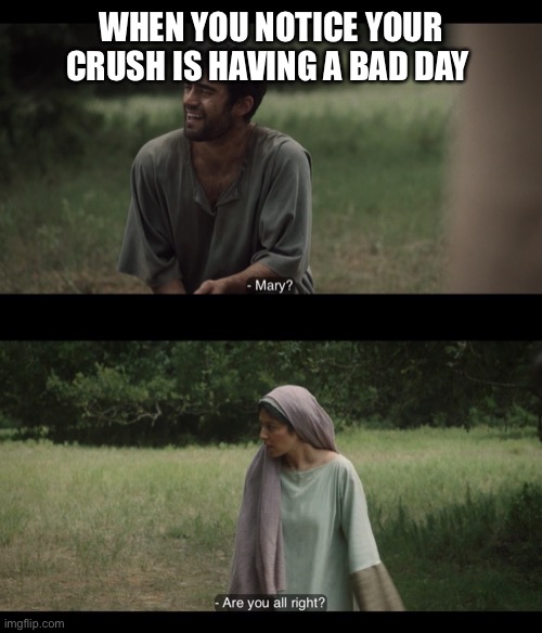 WHEN YOU NOTICE YOUR CRUSH IS HAVING A BAD DAY | image tagged in the chosen | made w/ Imgflip meme maker