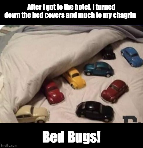Hotel | After I got to the hotel, I turned down the bed covers and much to my chagrin; Bed Bugs! | image tagged in bad pun | made w/ Imgflip meme maker
