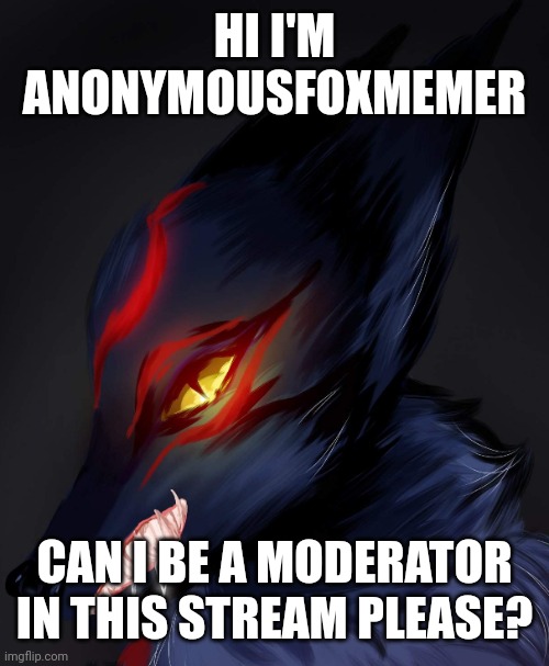 Im not being a mod beggar, I would just like to be a moderator. | HI I'M ANONYMOUSFOXMEMER; CAN I BE A MODERATOR IN THIS STREAM PLEASE? | image tagged in anonymousfoxmemer | made w/ Imgflip meme maker