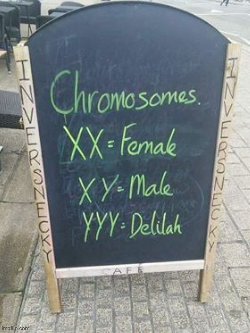 Chromosomes | . | image tagged in bad pun | made w/ Imgflip meme maker