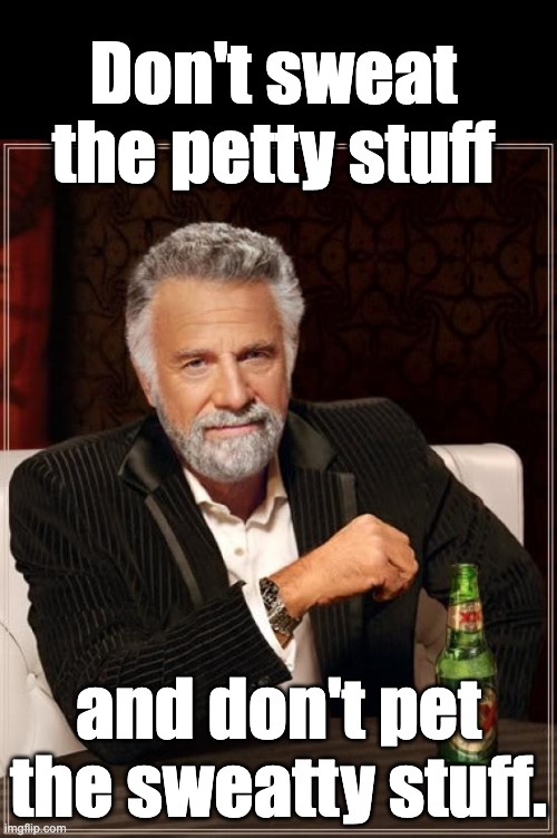 Dad sayings | Don't sweat the petty stuff; and don't pet the sweatty stuff. | image tagged in memes,the most interesting man in the world | made w/ Imgflip meme maker