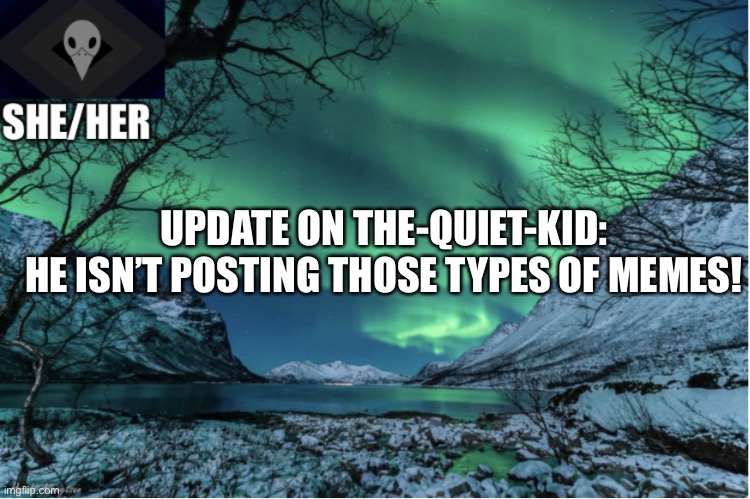 Northern Lights Termcollector Template | UPDATE ON THE-QUIET-KID:
HE ISN’T POSTING THOSE TYPES OF MEMES! | image tagged in northern lights termcollector template | made w/ Imgflip meme maker