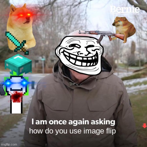 i let my sister choose what i do for one meme and this is how it ended | how do you use image flip | image tagged in memes,bernie i am once again asking for your support | made w/ Imgflip meme maker